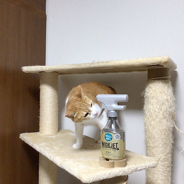 houenさんの部屋