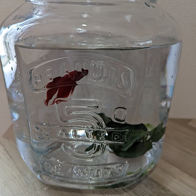 miyukiさんの部屋