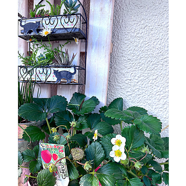 syutmmさんの部屋