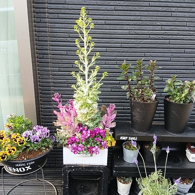 kaanaさんの実例写真