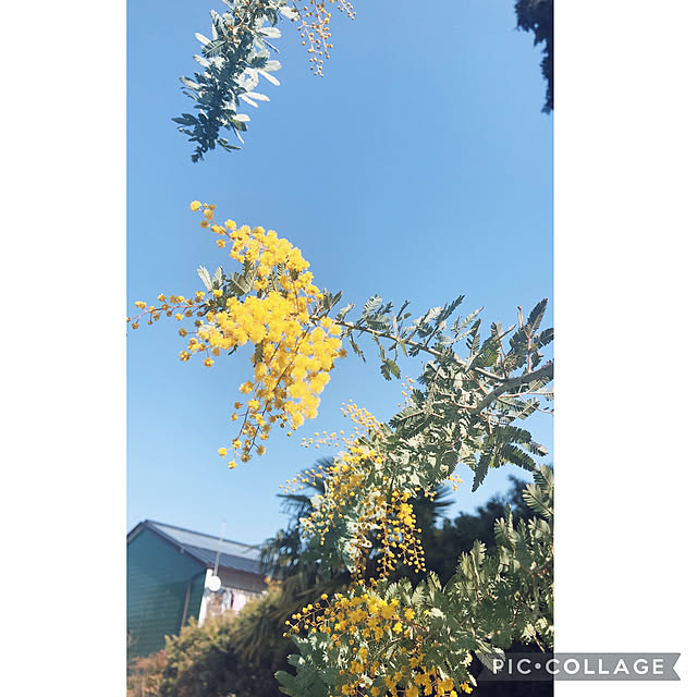 craneさんの実例写真