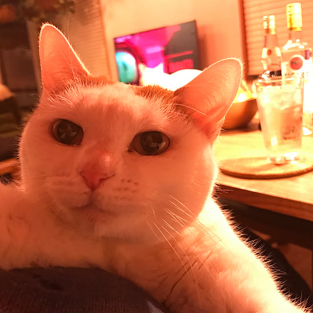 sakurasakuさんの実例写真