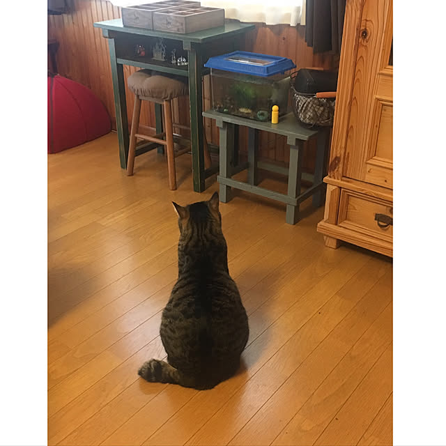 manmarunekoさんの実例写真
