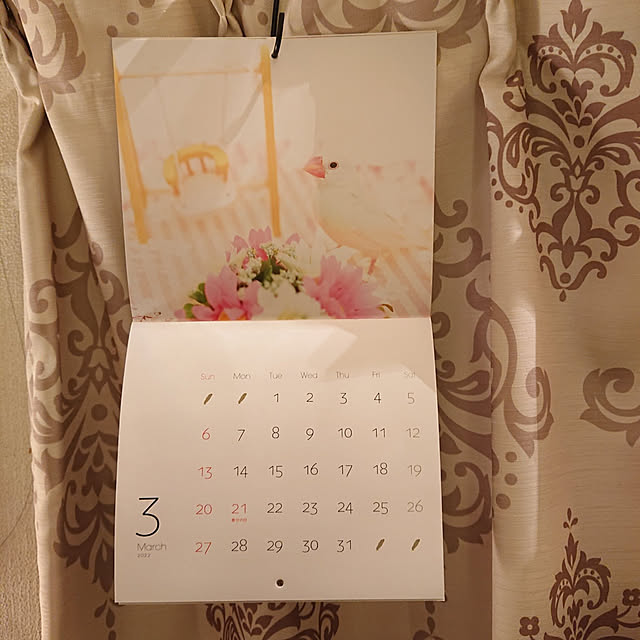 copippiさんの実例写真