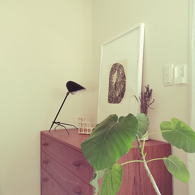 hanaminamiさんの実例写真
