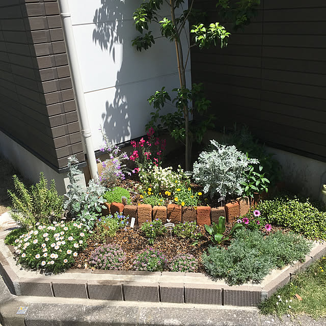 Madokaさんの実例写真