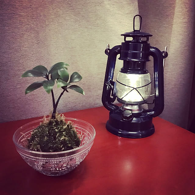 机/一人暮らし/照明/カフェ風/観葉植物...などのインテリア実例 - 2018-02-15 23:28:07