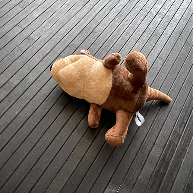 aureaさんの実例写真