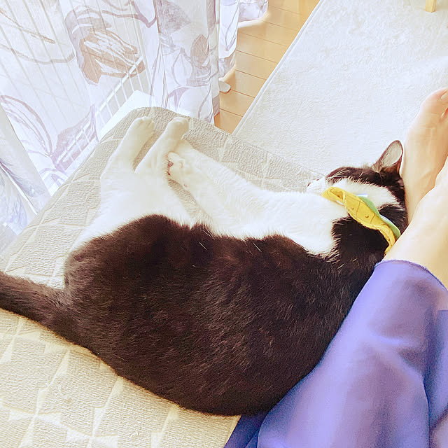 moolさんの部屋
