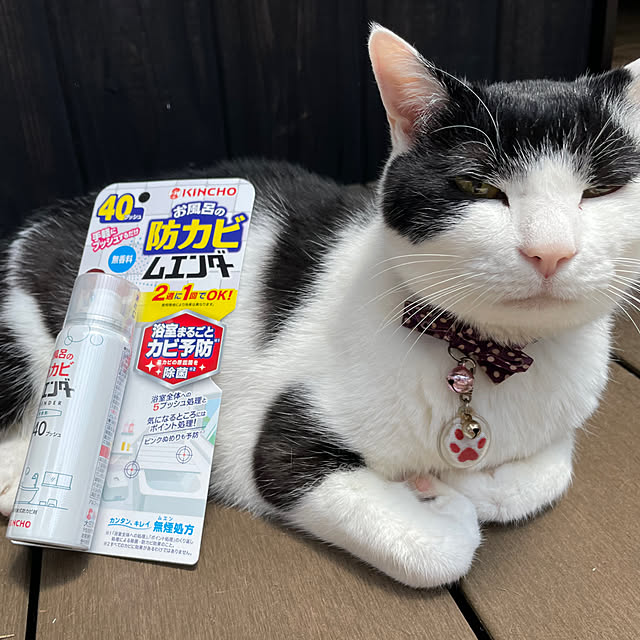 nekosamaさんの実例写真