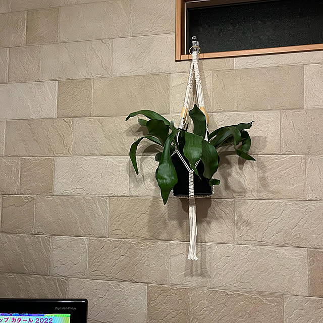 krkc..さんの実例写真