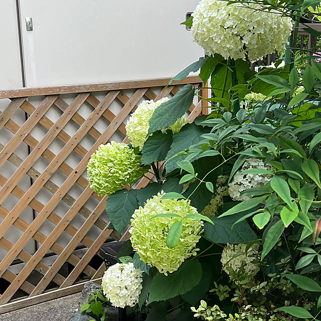 yukarimamaさんの部屋