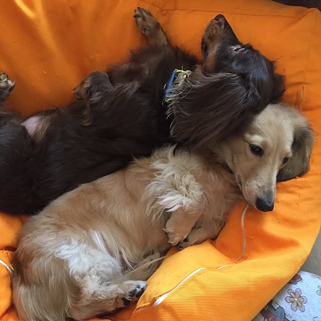 orange_122さんの実例写真