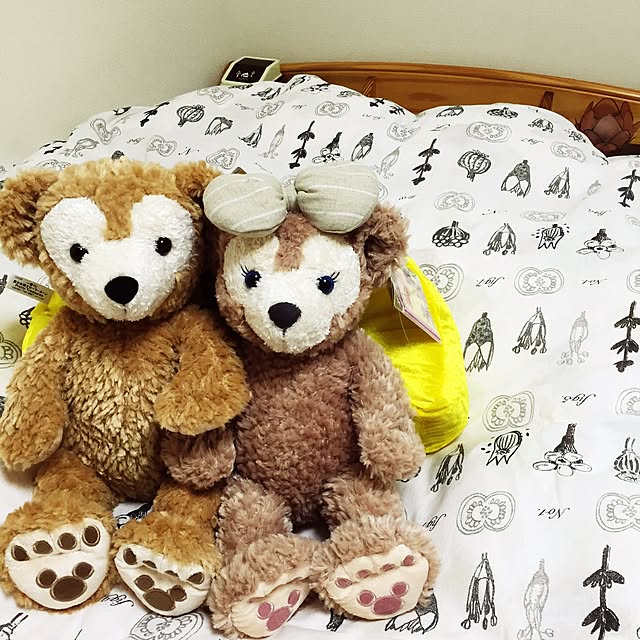 kagaiさんの実例写真
