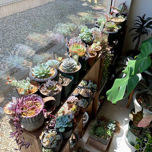 luluさんの部屋