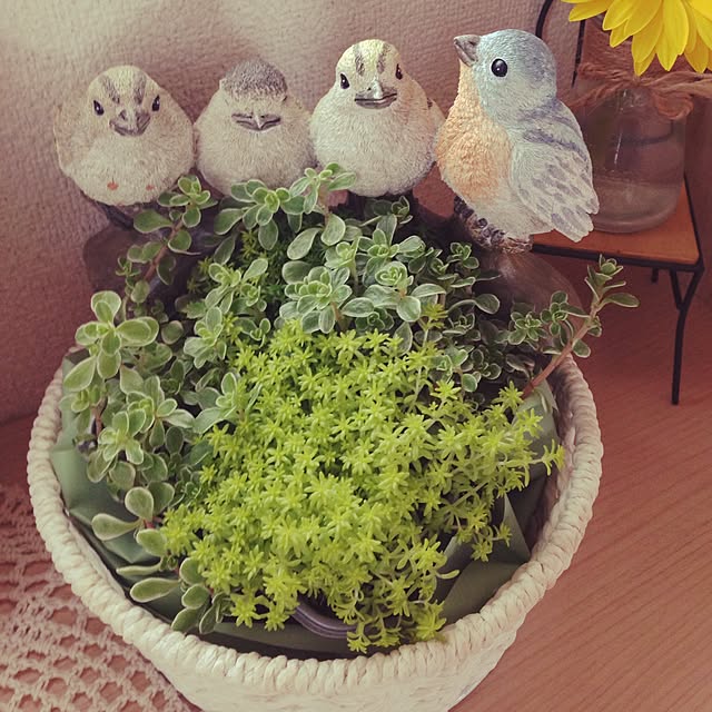 kao1019さんの実例写真