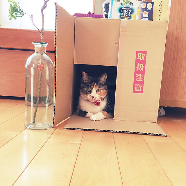 beemer2さんの実例写真