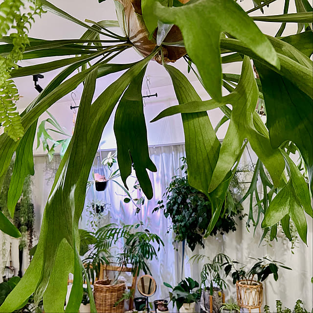 haraさんの実例写真