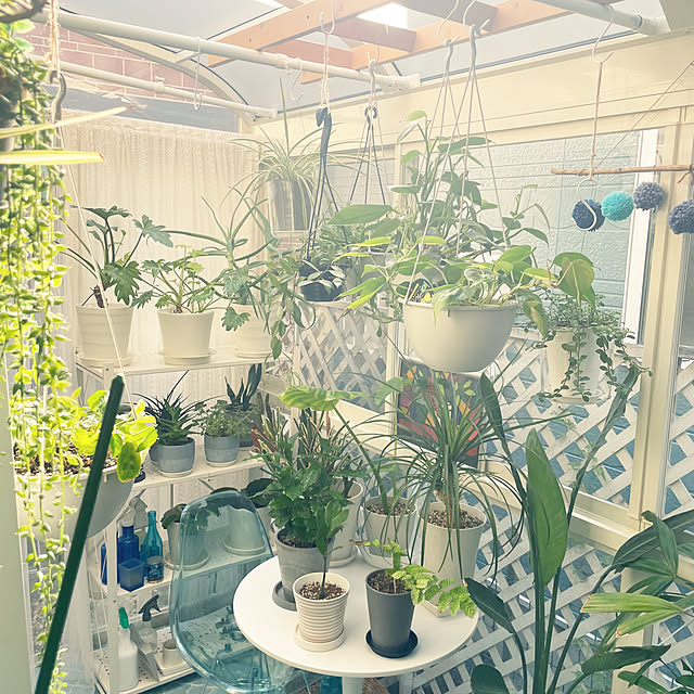 kanakoさんの部屋