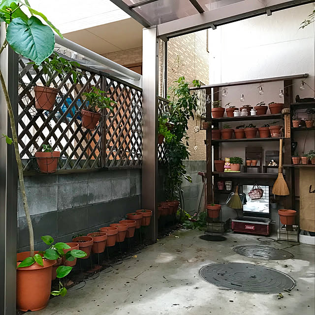 butachanさんの実例写真