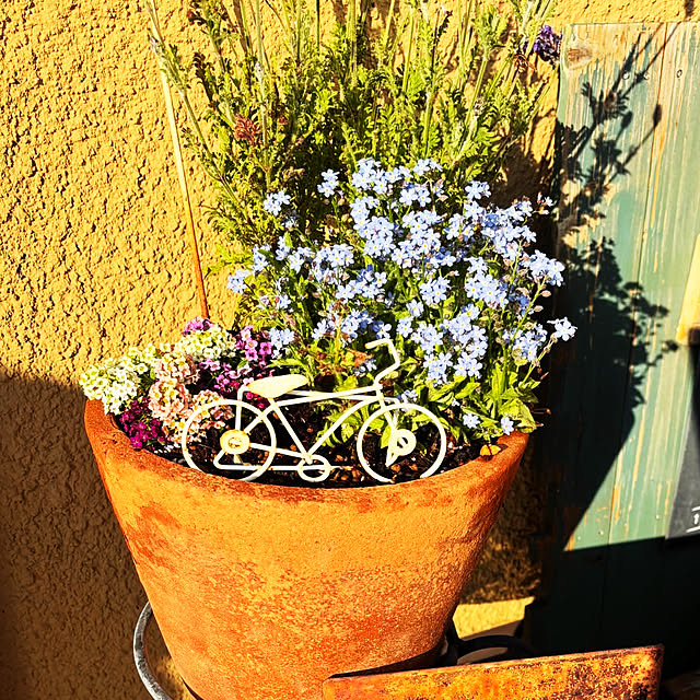 naokoさんの実例写真