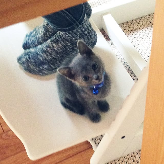 cinnamonさんの実例写真