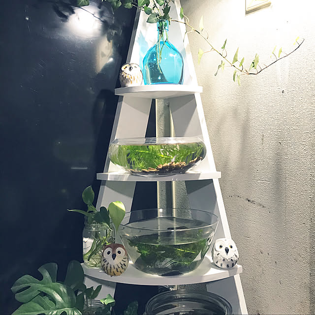 fu-minさんの実例写真