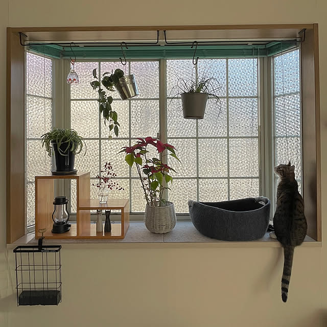 nobikoさんの実例写真