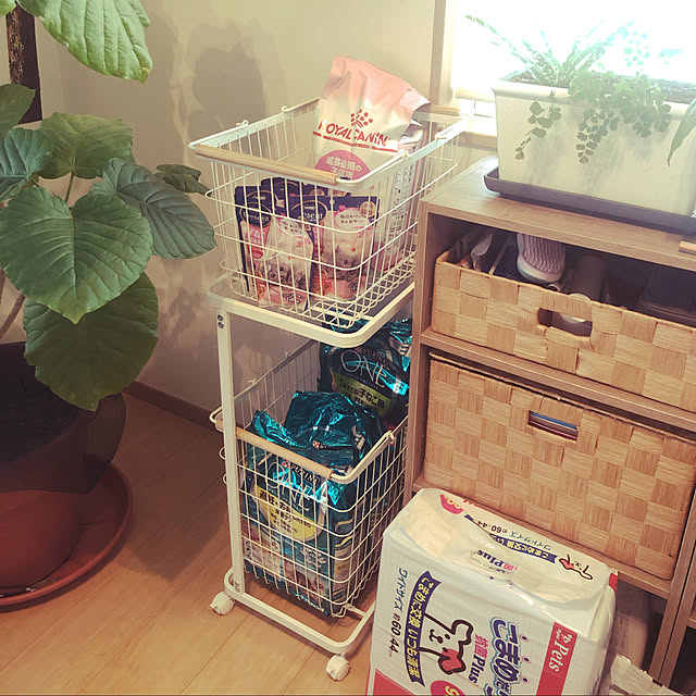 becks7213さんの実例写真