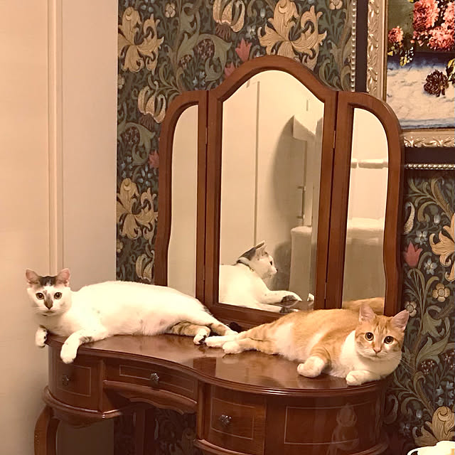 jumpさんの実例写真