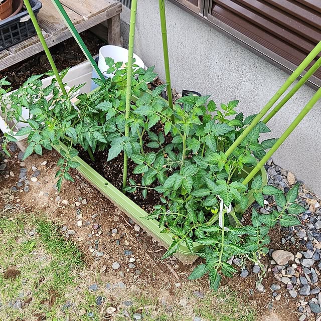 fuchan0930さんの部屋