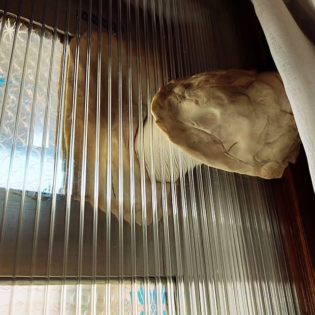 kobakissaさんの部屋