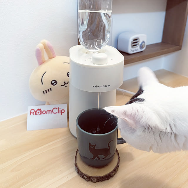 机/RoomClipショッピング/レコルト/ホットウォーターサーバー/ねこのいる風景...などのインテリア実例 - 2023-01-24 18:25:07
