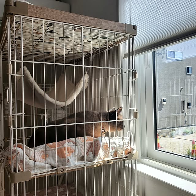 maomaoさんの部屋