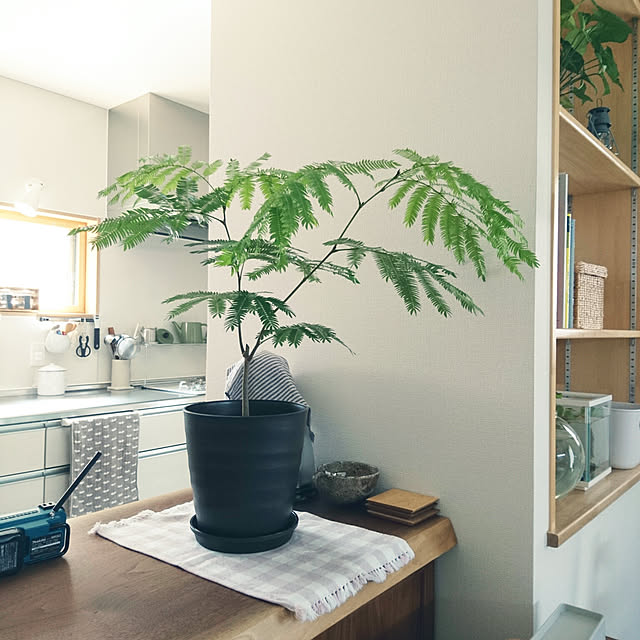 na-omochiさんの実例写真
