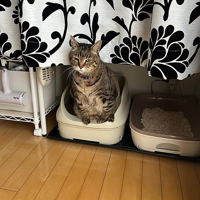 yukarin-gardenさんの部屋