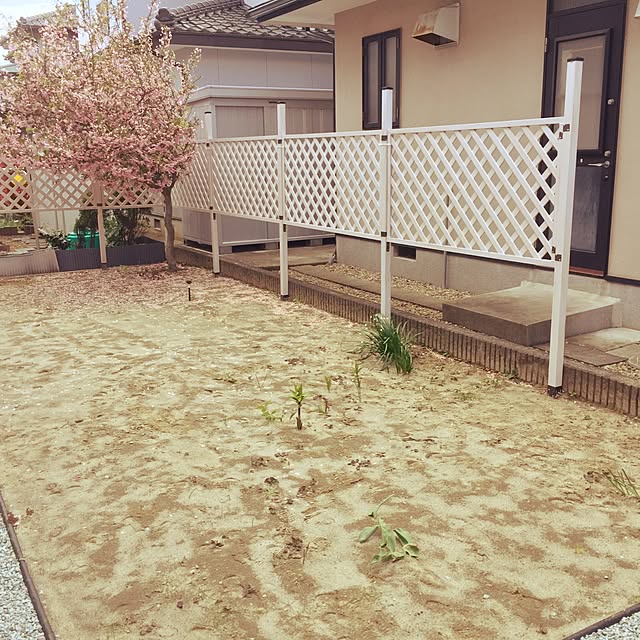 makotoさんの実例写真