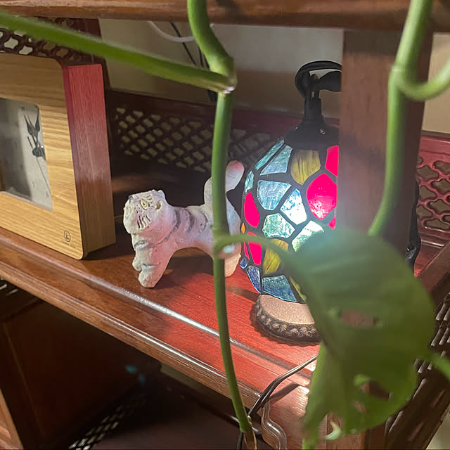 shin0719さんの実例写真