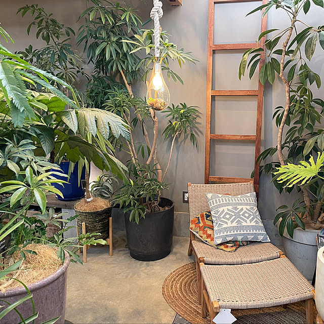 CKさんの実例写真