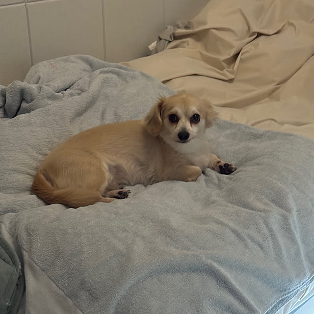Rainyさんの実例写真