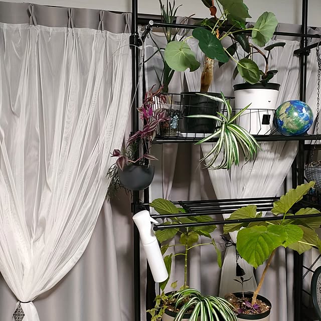 napiさんの実例写真
