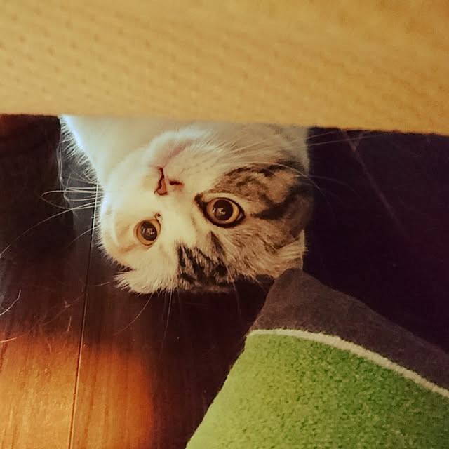 Sachiさんの実例写真