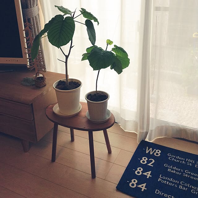 fumfumさんの実例写真