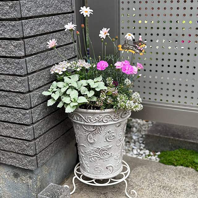 maayaさんの部屋