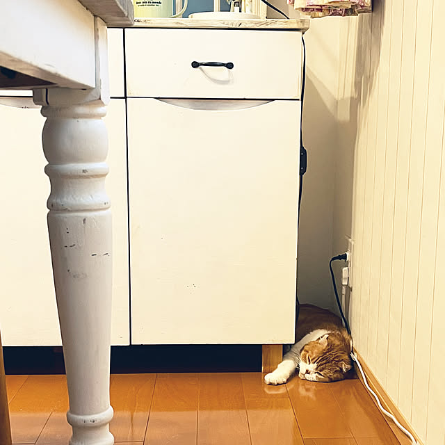 tomatoさんの部屋