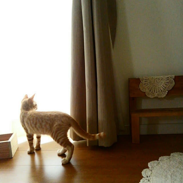 mayutan.さんの実例写真