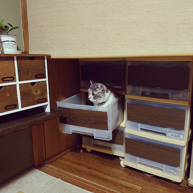 fukuさんの実例写真