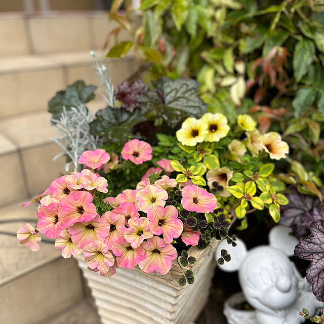 yukarin-gardenさんの実例写真