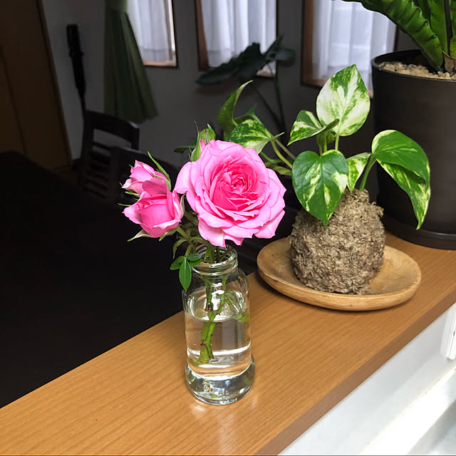 harugiさんの実例写真
