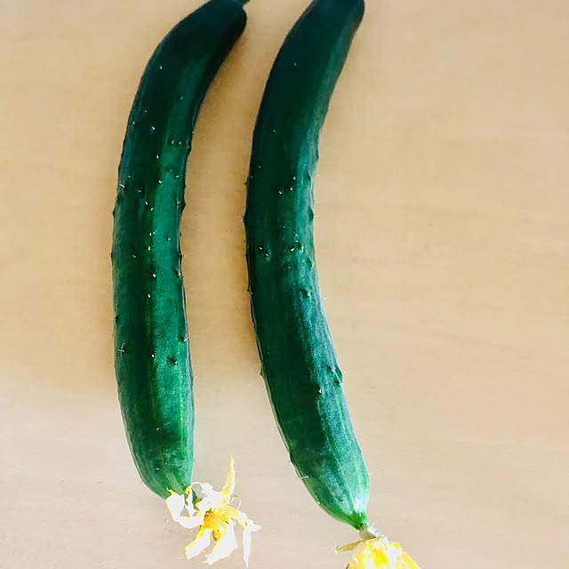 hanachanさんの実例写真